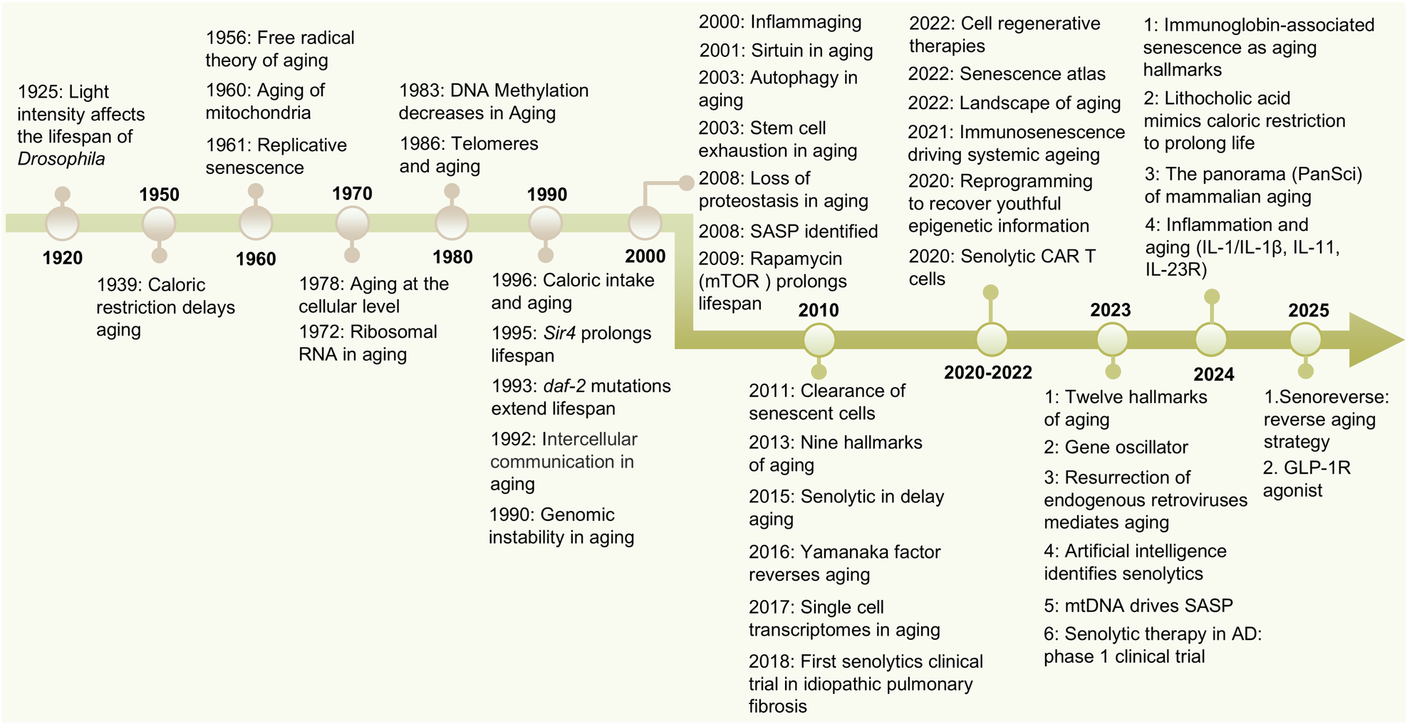 A century of aging-research milestones